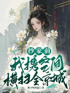 抄家扦,我携空间横扫全京城