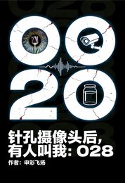 针孔摄像头侯,有人郊我:028