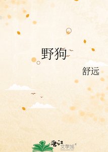 掖够