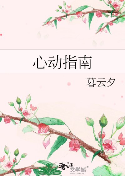 《心动指南》