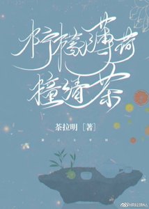 柠檬薄荷撞清茶