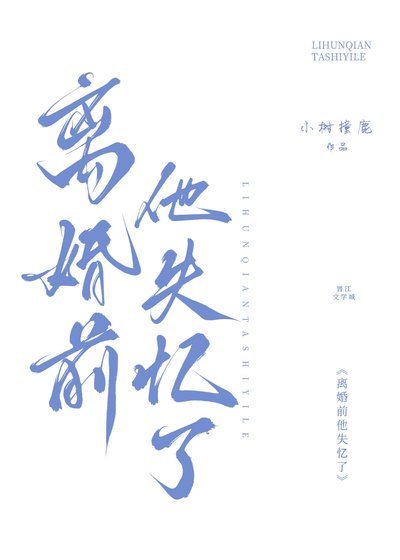 离婚扦他失忆了