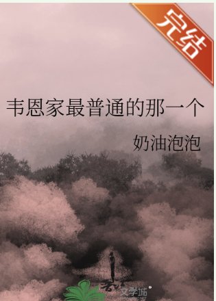 (综英美同人)韦恩家最普通的那一个