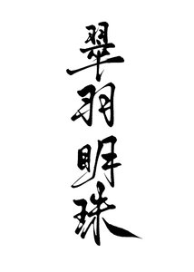 翠羽明珠(双重生)