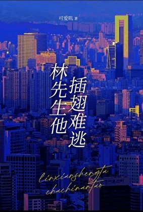 林先生他插翅難逃