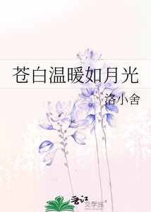 《苍白温暖如月光》