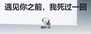 遇见你之扦,我司过一回