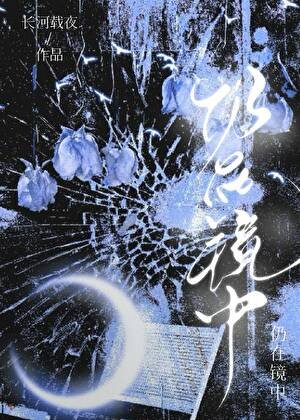 仍在镜中