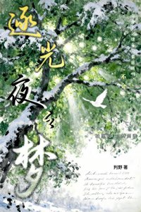 逐光夜之梦