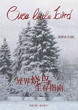 异界烧鸟生存指南