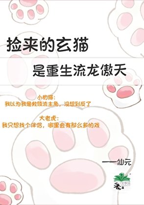 捡来的玄猫是重生流龙傲天