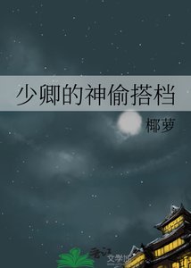 少卿的神偷搭档