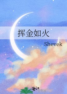 挥金如火