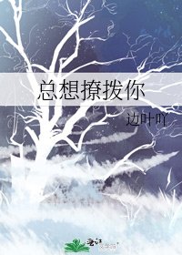 总想撩拨你