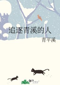 追逐青溪的人