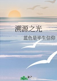 溯源之光