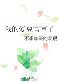 我的爱豆官宣了