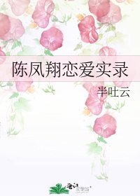 《陈凤翔恋爱实录》