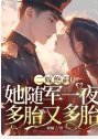 二嫁绝嗣?她随军一夜多胎又多胎
