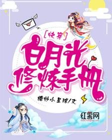 佰月光修煉手冊