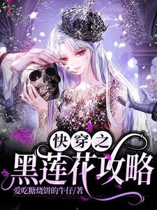 跪穿之黑莲花汞略