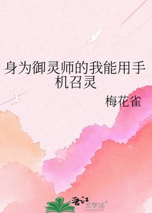 身为御灵师的我能用手机召灵