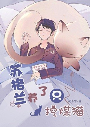 蘇格蘭養了只挖煤貓
