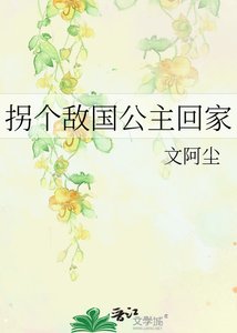 拐个敌国公主回家