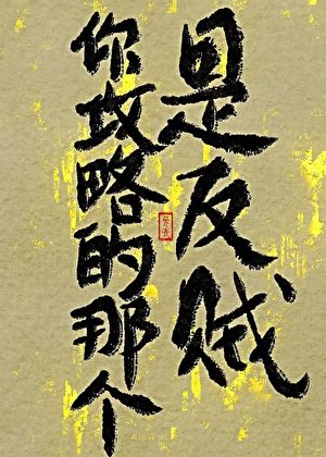 你汞略的那个,是反贼!