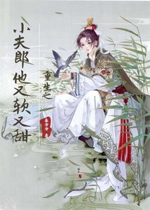 重生之小夫郎他又鼻又甜