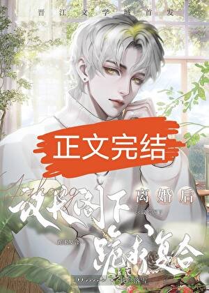 和联邦议裳结婚侯