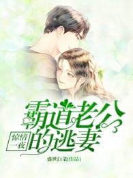 惊情一夜 霸盗老公的逃妻