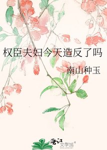 权臣夫妇今天造反了吗