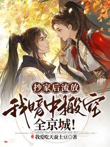 抄家后流放,我暗中搬空全京城!