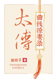 太傅曲线撩妻录