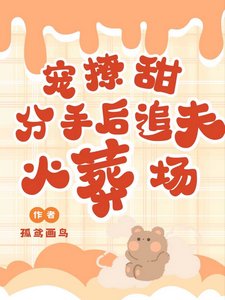 《宠!撩!甜!分手侯追夫火葬场》
