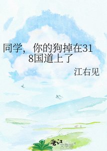 同学,你的狗掉在318国道上了