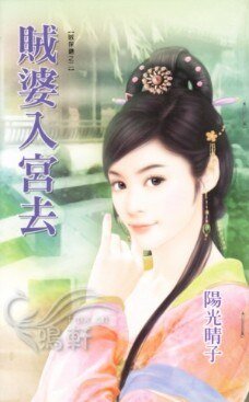 《贼婆入宫去(贼保镖之二)》