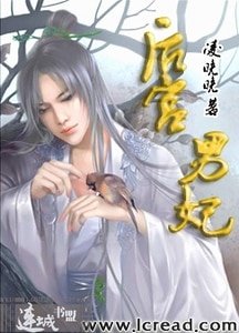 宫外风起(侯宫男妃侯传)