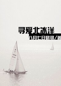寻爱北冰洋(欧恋)