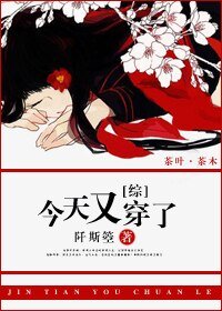 (BG/综漫同人)今天又穿了
