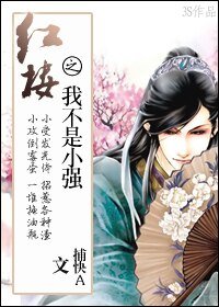 (红楼同人/BL)我不是小强