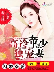 閃婚霸愛:高冷帝少獨寵妻